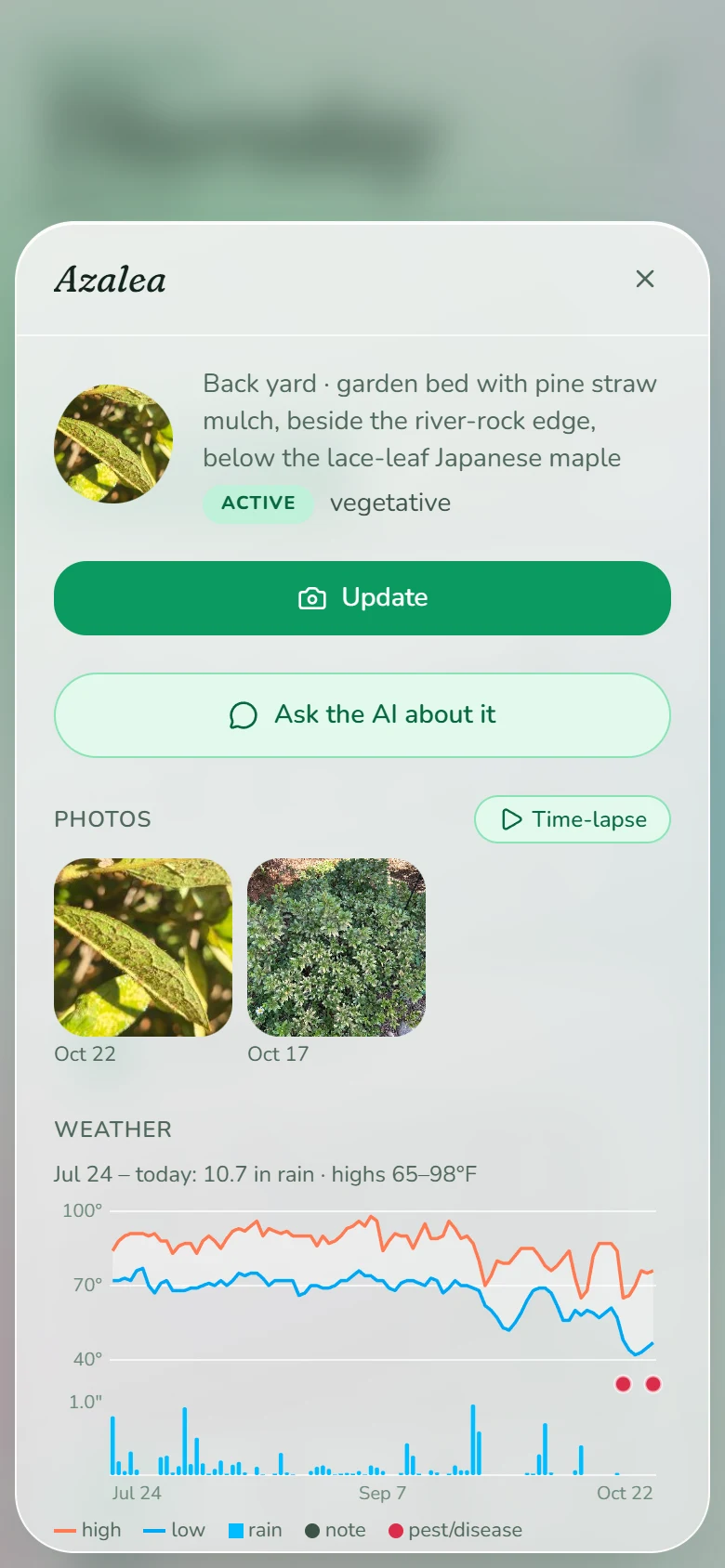 An azalea's sheet with its photos and a chart of the weather it has had
