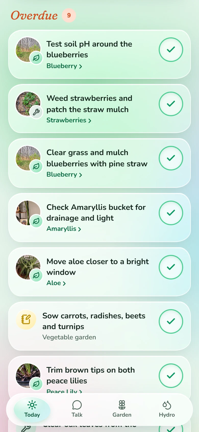 Today's tasks, each with the plant's photo and a big check button